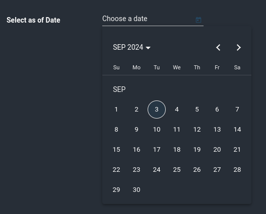 options-date-range-picker-2